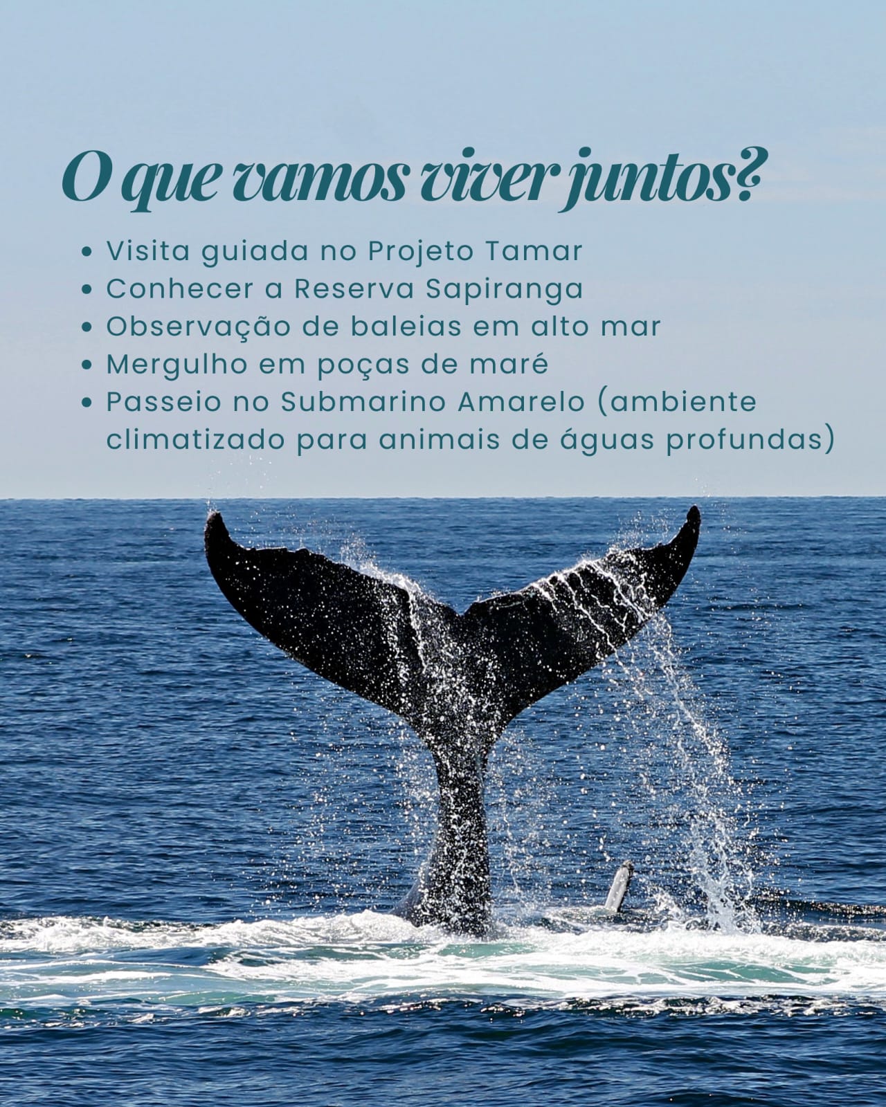 WhatsApp Image 2025-09-15 at 11.32.39 (1)