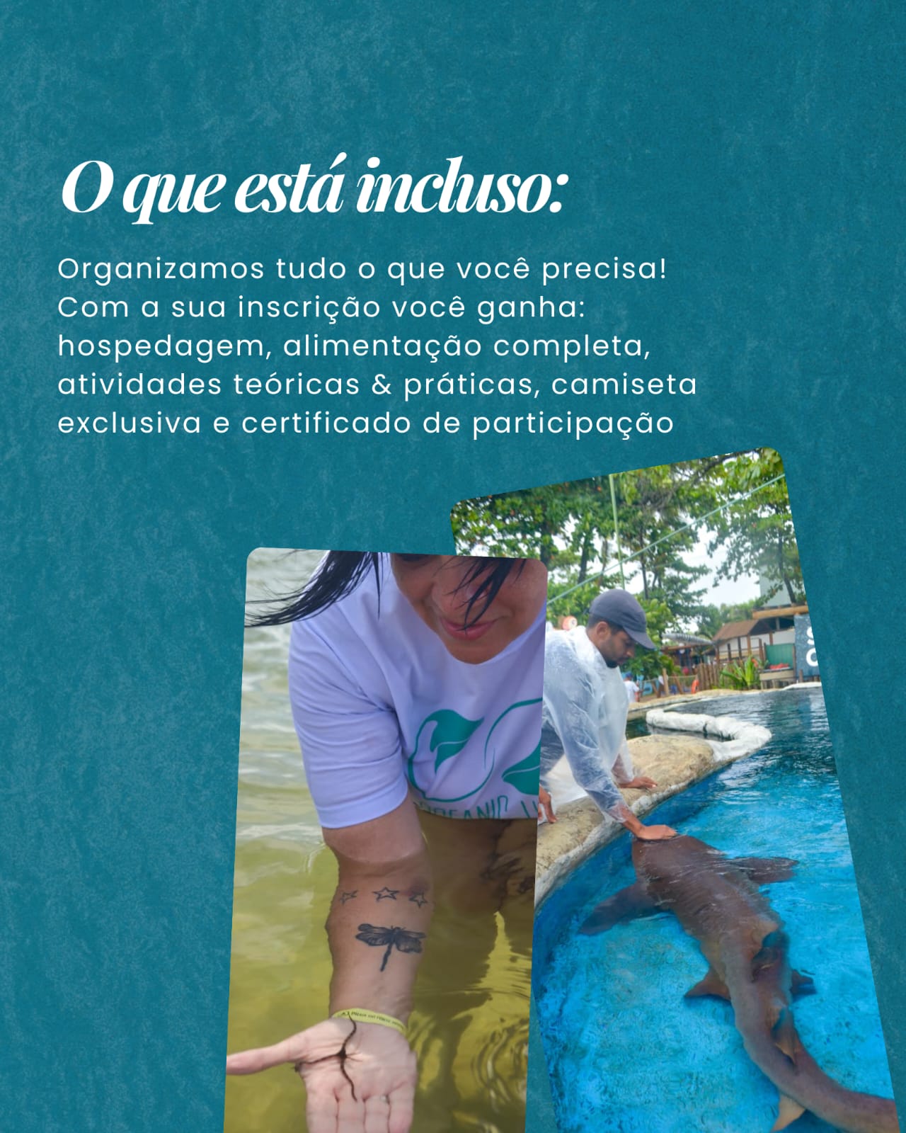 WhatsApp Image 2025-09-15 at 11.32.39